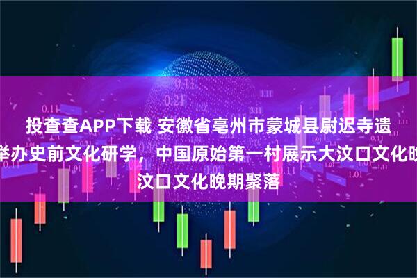 投查查APP下载 安徽省亳州市蒙城县尉迟寺遗址公园举办史前文化研学，中国原始第一村展示大汶口文化晚期聚落