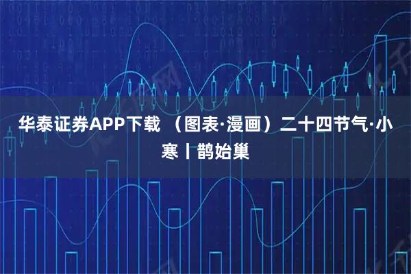 华泰证券APP下载 （图表·漫画）二十四节气·小寒丨鹊始巢