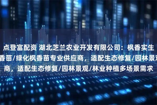 点登富配资 湖北芝兰农业开发有限公司：枫香实生苗/速生枫香苗/利川枫香苗/绿化枫香苗专业供应商，适配生态修复/园林景观/林业种植多场景需求