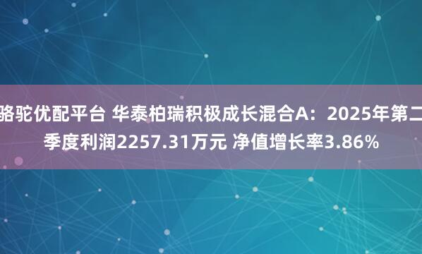骆驼优配平台 华泰柏瑞积极成长混合A：2025年第二季度利润2257.31万元 净值增长率3.86%