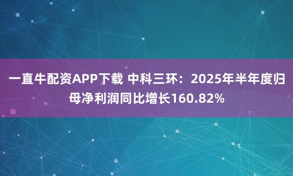 一直牛配资APP下载 中科三环：2025年半年度归母净利润同比增长160.82%