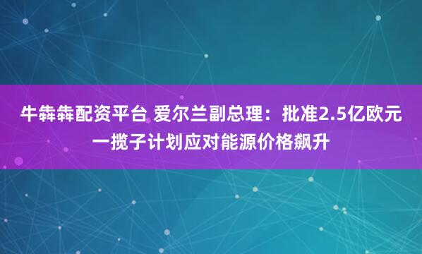 牛犇犇配资平台 爱尔兰副总理：批准2.5亿欧元一揽子计划应对能源价格飙升